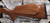 Anschutz - 22LR - Model 1712 D Silhouette Sporter - Select Walnut Monte Carlo Stock w/Schnabel Forend/Blued Finish, 22"Barrel, Single Stage Trigger, Mfg# 017100, S/N 3210962