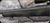 Consign - Fierce - 300WinMag - Fury - Forest Camo Carbon Finish Stock/Tungsten Cerakote Finish, 24"Barrel, Radial Muzzle Brake, c/w Halo Scope level, Talley Rail, NF Ultralight rings, Leica Amplus 6 3-18x44i,  L-4W MOA Reticle - in orig rifle box