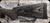 Consign - Tikka - 300WSM - T3x Laminated Stainless - Oiled Grey Laminate/Stainless, 24.3"Barrel, 3+1 round magazine, Single Stage Trigger, 1:10"Twist, Mfg# TFTT7122A1600P3 - 75rds fired - c/w Picatinny Rail - in orig.box