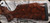 Consign - Thompson Center - 6mmPPC - Encore - Custom Grade V Claro Walnut Monte Carlo Stock/Gloss Blued, 26"Barrel, picatinny rail - only 10 rounds fired