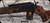 Consign - Thompson Center - 6mmPPC - Encore - Custom Grade V Claro Walnut Monte Carlo Stock/Gloss Blued, 26"Barrel, picatinny rail - only 10 rounds fired