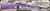 Savage Arms - 22LR - 64F - Semi-Auto - Purple Synthetic Stock/carbon steel barrel, 21", Open sights, Grooved Receiver, 10-round detachable box magazine, Mfg# 40219