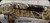 Consign - Beretta - 12Ga/3.5"/30" - Model A391 Xtrema 2 - Semi-Auto Shotgun - Synthetic Stock, Advantage Max4 Camo Finish - less than 100rds fired - in orig.case w/5 pcs.chokes & papers