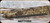 Consign - Beretta - 12Ga/3.5"/30" - Model A391 Xtrema 2 - Semi-Auto Shotgun - Synthetic Stock, Advantage Max4 Camo Finish - less than 100rds fired - in orig.case w/5 pcs.chokes & papers