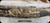 Consign - Beretta - 12Ga/3.5"/30" - Model A391 Xtrema 2 - Semi-Auto Shotgun - Synthetic Stock, Advantage Max4 Camo Finish - less than 100rds fired - in orig.case w/5 pcs.chokes & papers