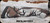 Consign - Zermatt - 280AI - Origin - Historic Camo Wildcat Composites Stock/Stainless, 25"Benchmark Factory Fluted Barrel, Bedded, TriggerTech Trigger, c/w Zeiss Conquest 3-18x50mm, ZBR2
