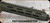 Consign - Adler Arms - 22LR - Model RF-224 TAC Rifle - OD Green Adj. Stock w/M-LOK handguard/Blued, 11.7"Thr.(1/2x28) Barrel, Mfg# RF224TACODG - less than 150rds fired - c/w Vortex - Sparc AR Red Dot,2 MOA,SPC-AR2, Magpul MS4 sling