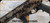 Consign - Adler Arms - 22LR - Model RF-224 TAC Rifle - FDE Camo Adjustable Stock w/M-LOK handguard/Blued, 11.7"Threaded(1/2x28) Barrel, Mfg# RF224TACFDC - c/w (2)factory & 1 extended magazine - only 200rds fired