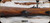Consign - DWM - 9.3x64 - Model 1901 98 Mauser - Custom Build - Hi-Grade California English Walnut Stock w/Ebony Forend Tip/Blued, 22"Barrel, c/w 75pcs HDS Brass, Dies, 1"QD Talley Rings