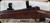 Consign - Winchester - 270Win - Model 70 Custom - Jack O'Connor-Style Featherweight - Grade AA Walnut stock w/Ebony Forend Tip/Blued, 22"Barrel, Pre'64 action, 1"Talley Rings