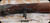 Consign - Winchester - 45-70Govt - Model 1886 Deluxe - Turnbull Restoration completed in 90s - Grade AA Walnut Straight-Grip Stock/Case Hardened Frame & Accents/Blued, 26"Round Barrel, rear tang & front target sights - Mfg.1891