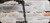 Used - Cadex - 6.5Creedmoor - CDX30 Guardian Lite - OD Green Reverse folding buttstock/Blued, 26"Bartlein Barrel, Threaded(5/8"-24), MX1 Brake, 20MOA Top Rail - CDX30-LITE-6.5-26 c/w Accu-Tac SR5 Bipod, (3)MDT windowed poly mags - in CDX Drag Bag