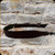 Levy's Leather - Guide Series - 2 1/4" Veg-Tan Leather Cobra Rifle Sling w/Swivels - 28" to 36" - Dark Brown - SN86-DBR