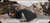 Consign - Tikka - 30-06Sprg - T3x Lite Veil Wideland - Veil Wideland Camo/Midnight Bronze Cerakote, 20"Fluted & Threaded(5/8-24)Barrel, 1:11"Twist, Mfg# TFTT3138A560974M - 15rds fired - c/w spare mag, Vortex Viper 4-12x40, BDC, limbsaver
