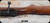 Consign - Eaton's of Canada - 22LR - Truline Model 20 - Walnut Monte Carlo Stock/Blued Finish, 22"Barrel, Detachable Magazine