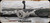 Consign - Weatherby - 300WbyMag - Vanguard Talon - Green & White sponge pattern accents Peak 44 Blacktooth carbon fiber stock/Tungsten Cerakote, 26"Spiral Fluted & Threaded Barrel, Mfg# VTE300WR8B - NIB