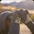SKRE - Velocity Early Season Gloves - Summit - Medium - VGM2