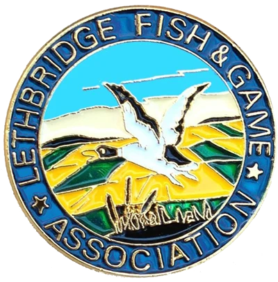 http://lfga.club/
