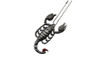 Scorpion Necklace Knife