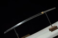 41 1/2" 1095 Hand Forge Ryujin Samurai Sword Fugaku Tsuba. Shinogidukuri Blade Real Ray Skin Handle Wrapped with Cotton Cord