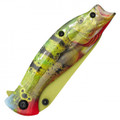7.25" Peacock Bass Pocket Knife