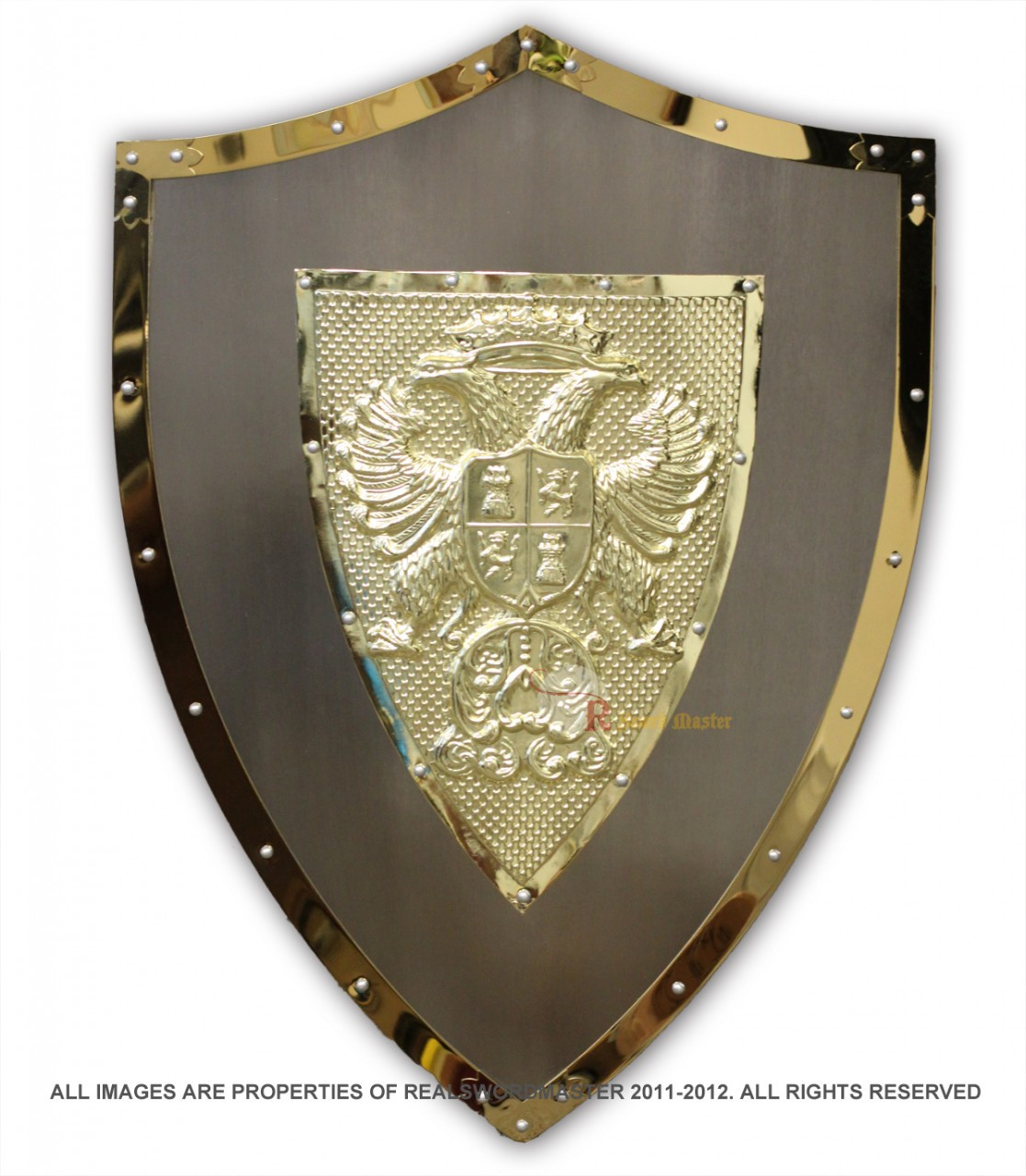 Medieval Knight Lion Shield