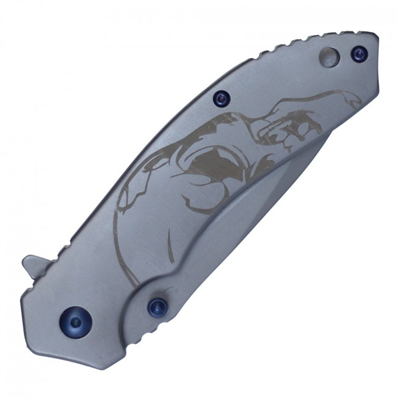 7 3/4" Assisted Open Ball Bearing Pocket Knife - PBB3GY