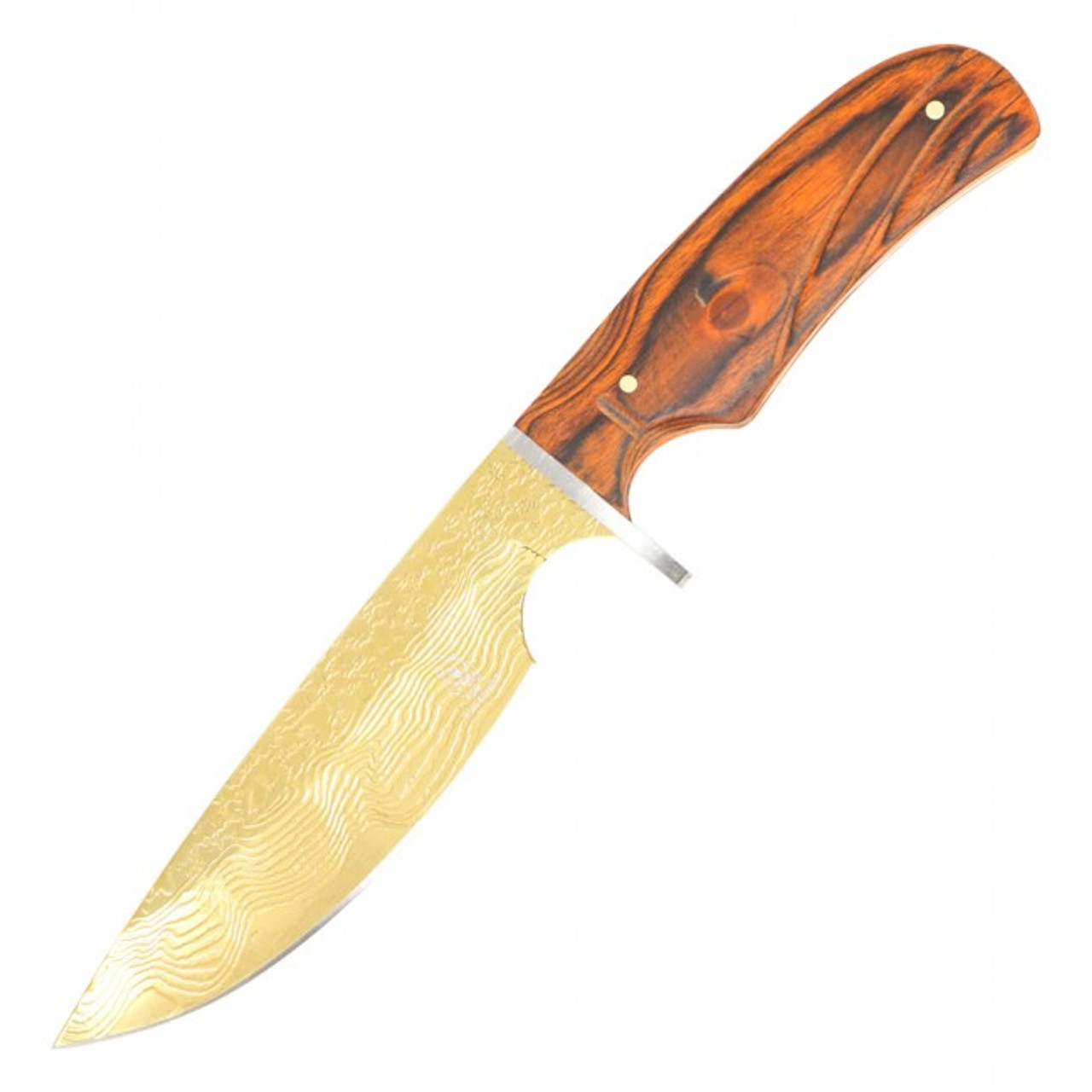 10" Fixed Blade Hunting Knife - HBK201GD