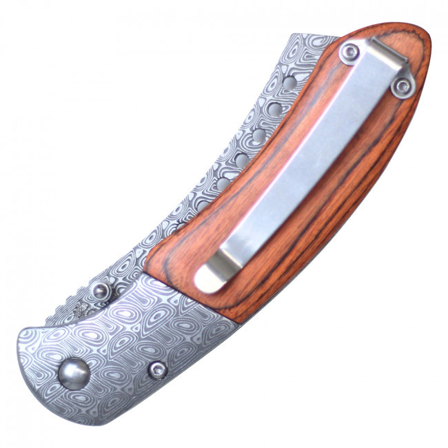 Buckshot Knives Thumb Open Spring Assisted Cleaver Classic Pocket Knife - PBK219DS