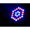 ADJ LP 42 RGBW Eliminator Lighting LP 42 RGBW LED Par (LP 42 RGBW)