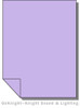 Lee Filters Lighting Gel Sheet 137 Special Lavender 21" x 24"