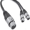  Pro Intercom YC6-SW Two 3-Pin Female XLRs to One 6-Pin Female XLR (YC6-SW)