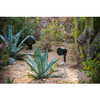 Rockustics PERISCAPE 6 6.25" 2-way Outdoor Landscape Speaker