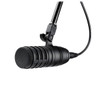 Audio-Technica BP40 Large Diaphragm Hypercardioid Dynamic Broadcast Microphone