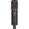 sE Electronics sE2200 Large Diaphragm Cardioid Condenser Microphone (SE2200-U)