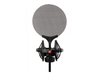 sE Electronics sE2200 Large Diaphragm Cardioid Condenser Microphone (SE2200-U)