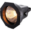 Eliminator Lighting E117 Par 38 Flood Light with Gel Frame (E117)