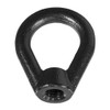 The Light Source NE.5-13X-ABZ Eye Nut Steel 1/2-13 Black Zinc