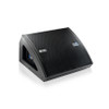 DBTechnologies DVX DM 28 2-Way Stage Monitor