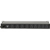 Juice Goose RP 100-15A Rackpower 100 for 19" Rack Systems (15A) (RP 100-15A)