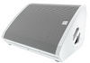 Electro-Voice MFX-15MC 15" Multiuse Coaxial Monitor Speaker (MFX-15MC-B-)