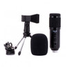 CAD Audio U49 USB Studio Microphone with Headphone Monitor and Echo (U49-U)