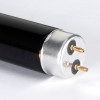 Eliminator Lighting Black 48BEL 48-inch UV Black Light (Black 48BEL