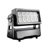 Roxx 14200501 NEO Lite Battery Powered Wash Light (14200501)