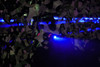 Froggy's Fog Laser Swamp, Individual Laser Module, Blue (LASER-SWAMP-MODULEBLUE)