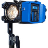 Nila N50K2E-D-G Double Nila 50 Kit with Gold Mount Plates (2-Fixtures) (N50K2E-D-G)