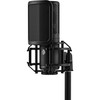Shure KSM44MP Large-Diaphragm Multi-Pattern Condenser Microphone (KSM44MP)