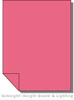 Lee Filters Lighting Gel Sheet 748 Seedy Pink (Lee 748)