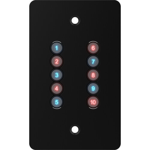 ChamSys GENETIX10SWALLUS GeNetix 10Scene Wall Plate (2-Pack) (GENETIX10SWALLUS)
