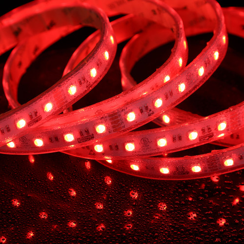 City Theatrical 20833 Eluxtra 4-in-1 LED Strip Light, 24V, Outdoor/Waterproof, RGB + 6500K (5m) (20833)